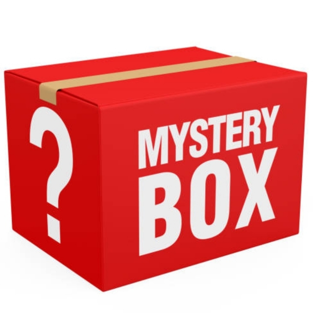 NWT Designer Bag Mystery Box